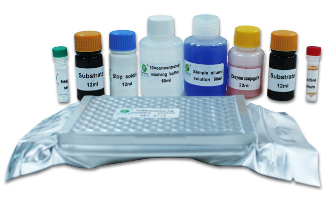 TB Ab Tuberculosis Antibody Diagnostic ELISA Kit For Cattle Sheep 96 Wells/Kit ISO13485