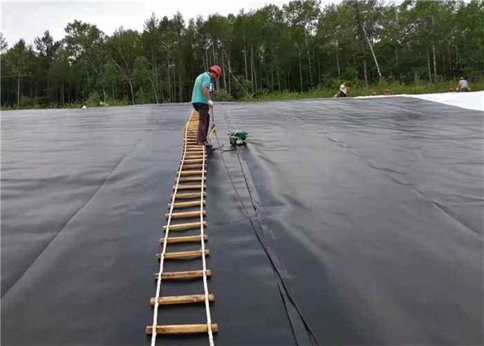 0.2mm Hdpe Polyethylene Geomembrane Sheet For Pond Liner And Landfill