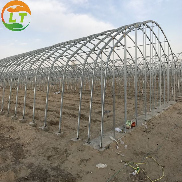 Film Cover Single-Span Agricultural Greenhouses for Agricultural Cultivation