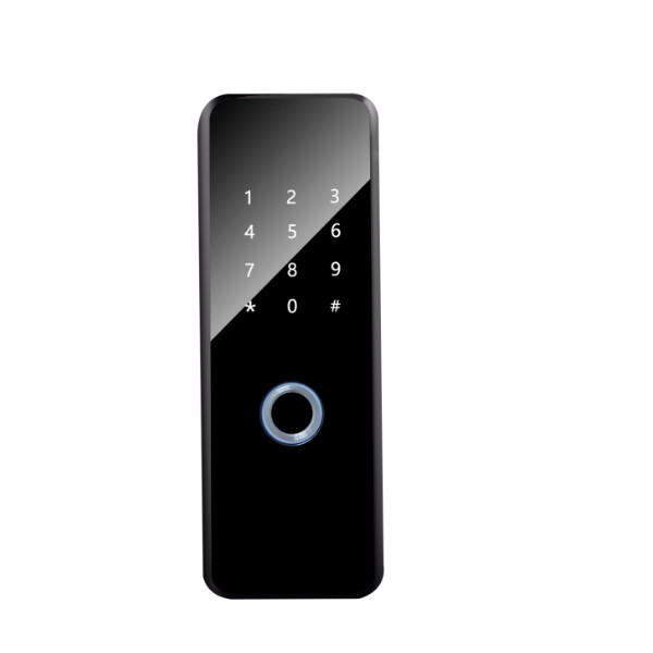 Durable Zinc Alloy Smart Door Lock Tuya Wifi Network