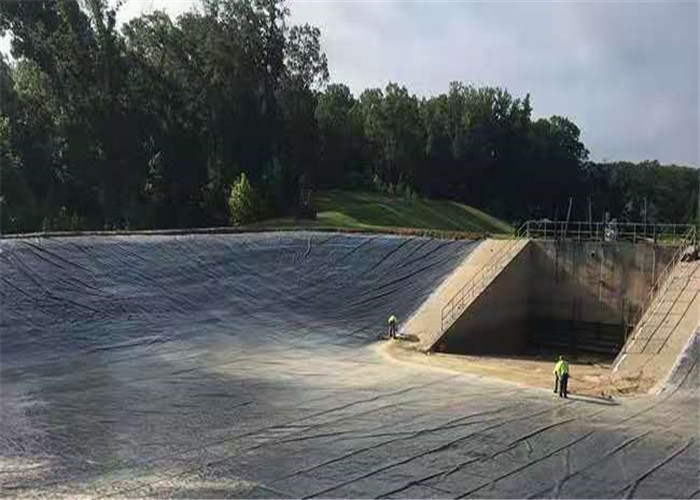 Thickness 0.5mm High Density Polyethylene Geomembrane Hdpe Fish Pond