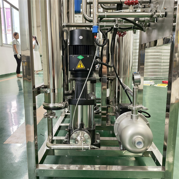 0.25T Double-Stage 304 Efficient Reverse Osmosis Equipment For Industry