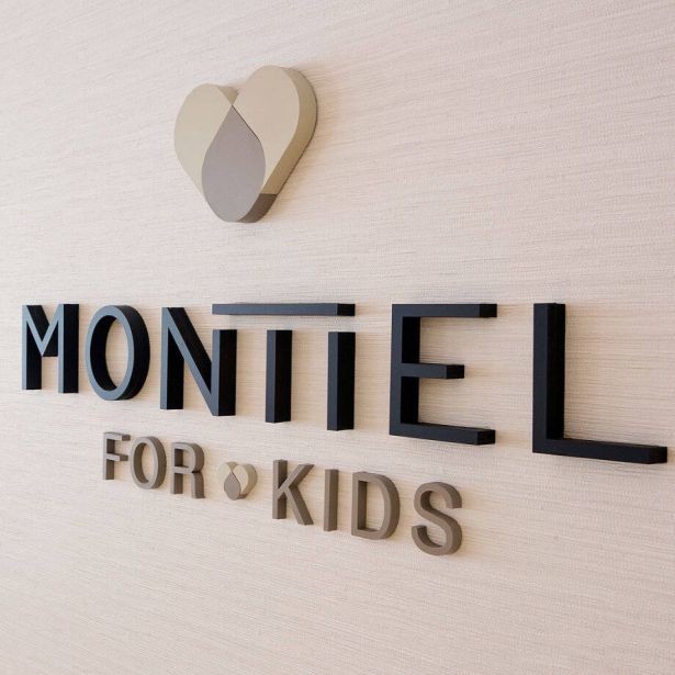 Plastic Clear Alphabet Sign Letters Custom Logo Acrylic 3D Letter Signage