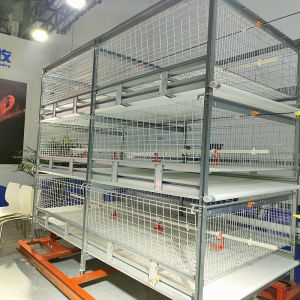 China Galvanized 380V 120/150 Broiler Chicken Cage For Poultry SGS Certificated on sale