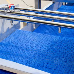 vegetable drying equipment Fruit and vegetable selection washing and drying