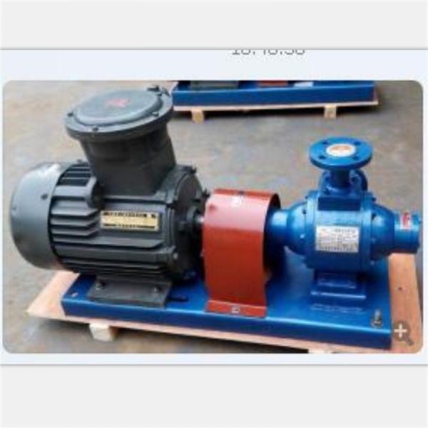 YQB3-5 Cowell Gas LPG Transfer Pump with Motor The Ultimate Fuel Transfer