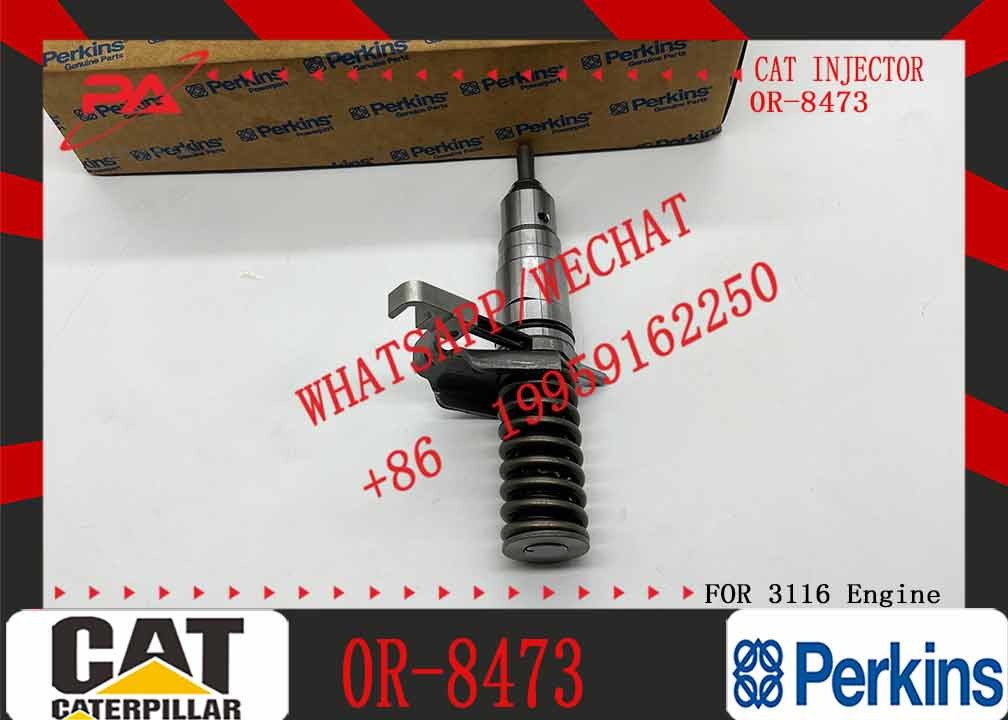 Excavator Parts CAT 3114 3116 3216 Engine fuel injector fuel injector 4P-2995 6I-3669 0R-8471 0R-8475 0R-8473