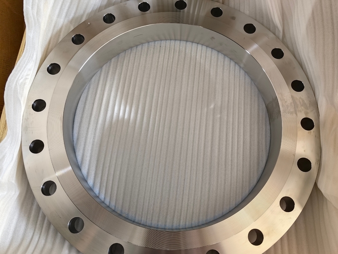 Class 300 Stainless Steel Flanges Welding Flange Ss304 Flat Plain