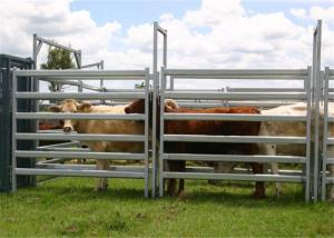 China Cattle yard panels for sale on sale