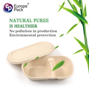 Disposable sugarcane bagasse 850ml, 1000ml 2 compartments food container with
