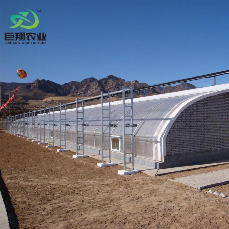 Hydroponics Vegetable Sunlight Greenhouse
