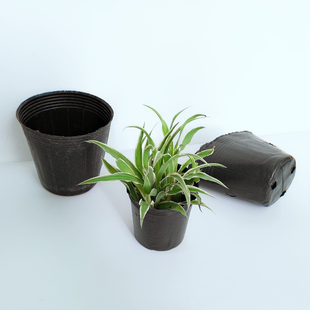 nursery Air Root Pruning Pots made of Hdpe or PVC
