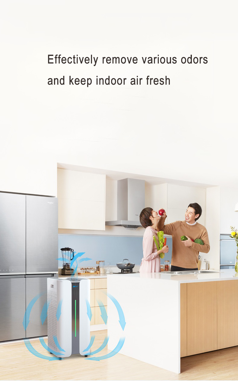 HOMEFISH Hepa Filter Commercial Air Purifier For Office Space OEM ODM