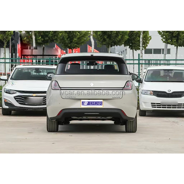 460km Range Pure Electric Vehicle with Front 6 Rear 6 Radar and Normal Cruise Control