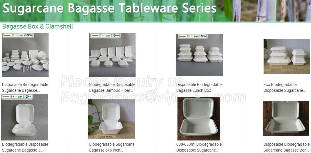 Meal Prep Containers Free Sample Bento Lunch Box Biodegradable Food Container Plastic Wheat Straw Lunch Box bagplastics