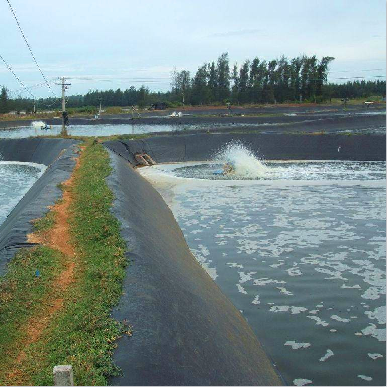 Water Fish Tanks Liner PONDLINER HDPE Geomembranes in Black White Green and Blue