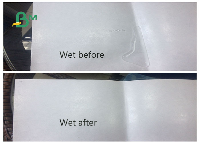 PE coated white kraft paper