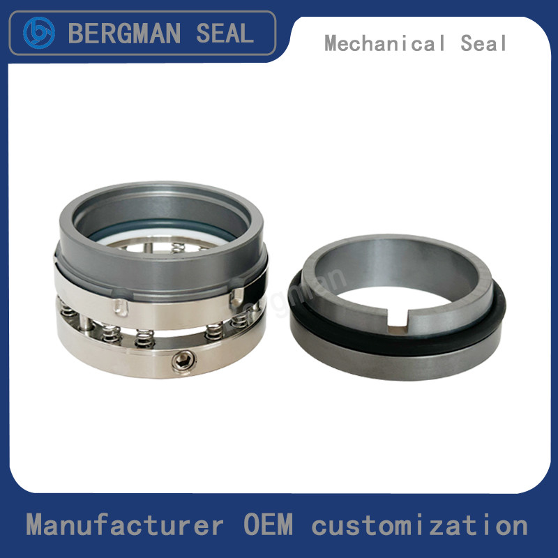 BERGMAN C8U C8B 25mm-100mm G60 G4 G6 G9 G13 G16 BS Bo BP Pump Mechanical Seal