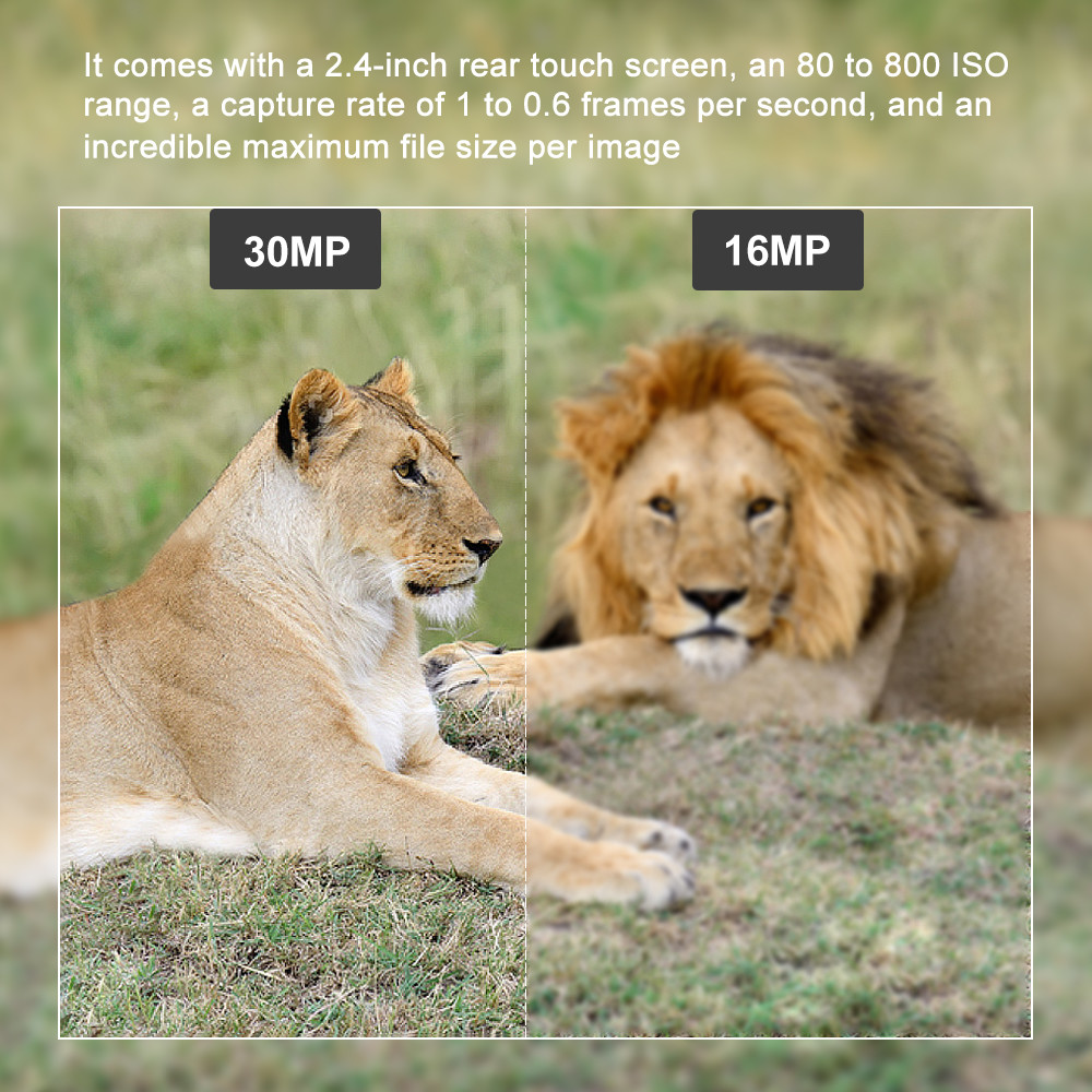 Programmable WIFI Hidden Wildlife Camera 24MP With LCD Display