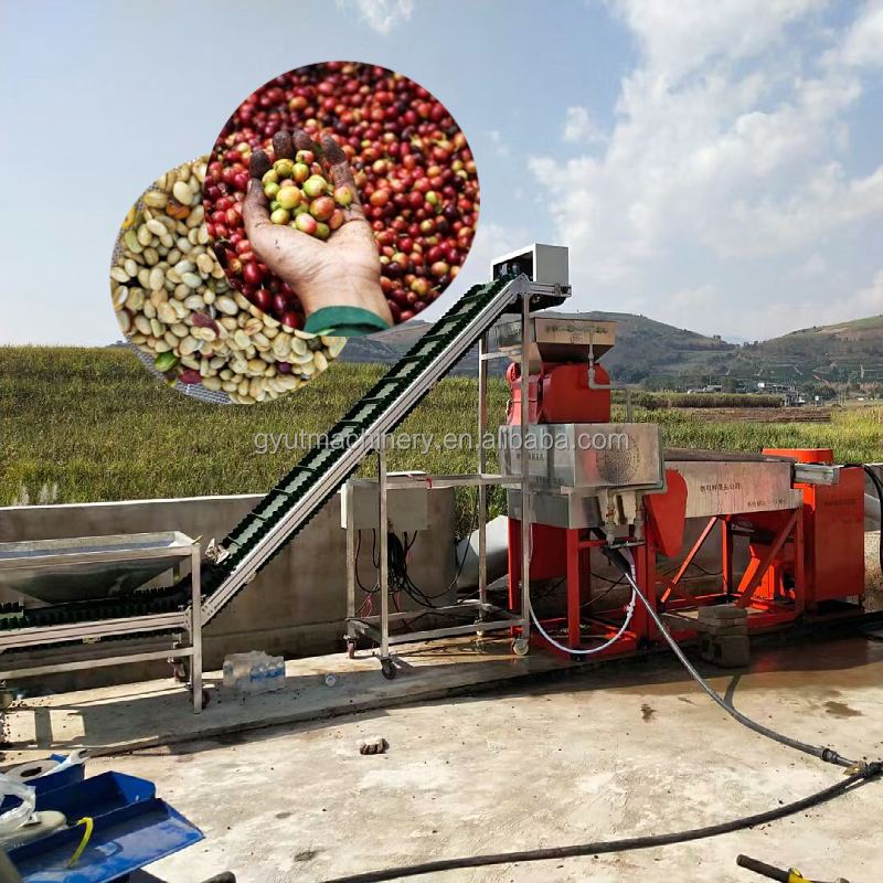 Coffee/Cocoa Beans Peeling Machine for Industrial Production at 910*730*1265mm Size