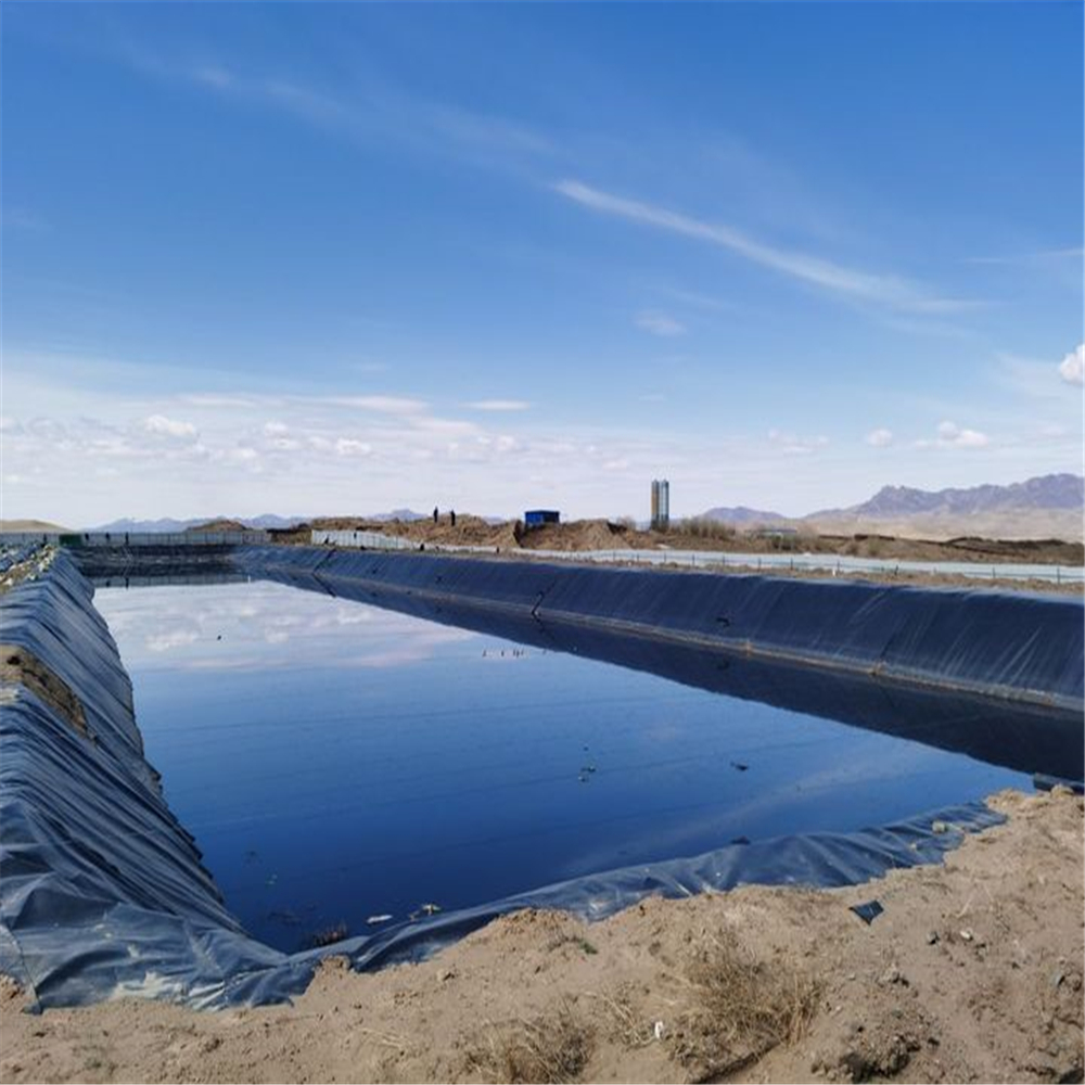 Store Sales Promotion HDPE Geomembrane Liner for Plastic Protection Requirements