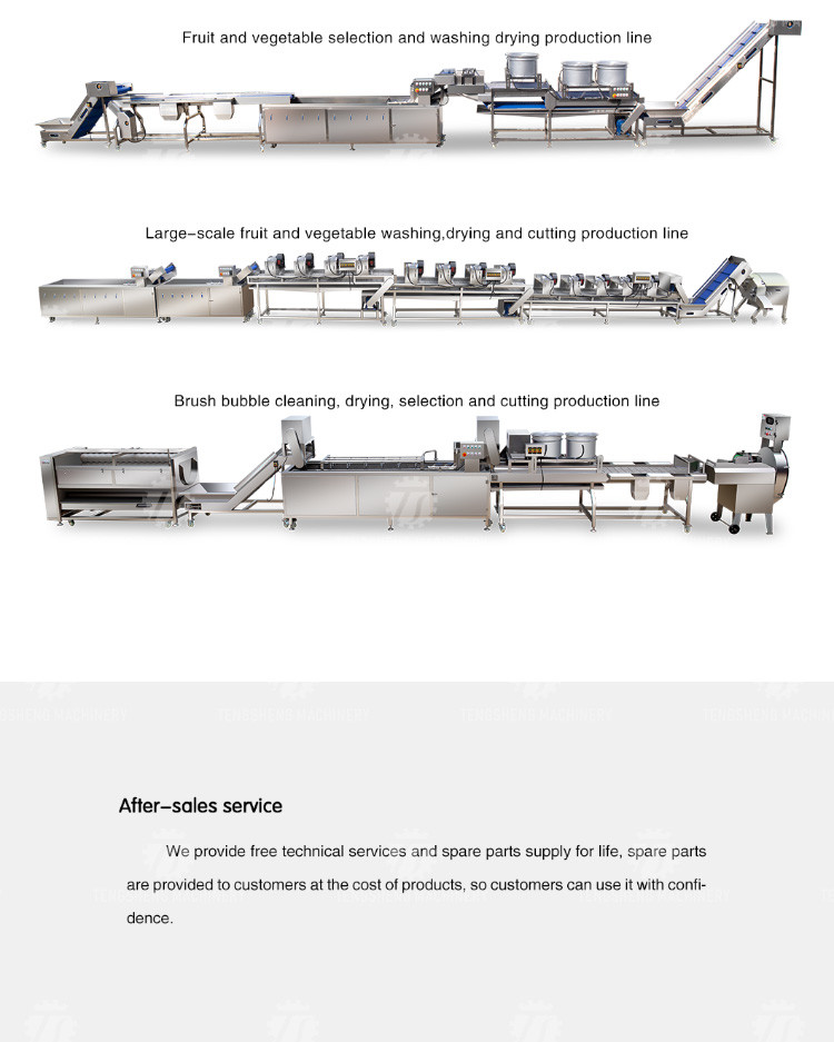 Industrial Cassava Tomato Vegetable Processing Machine Drying And Selection