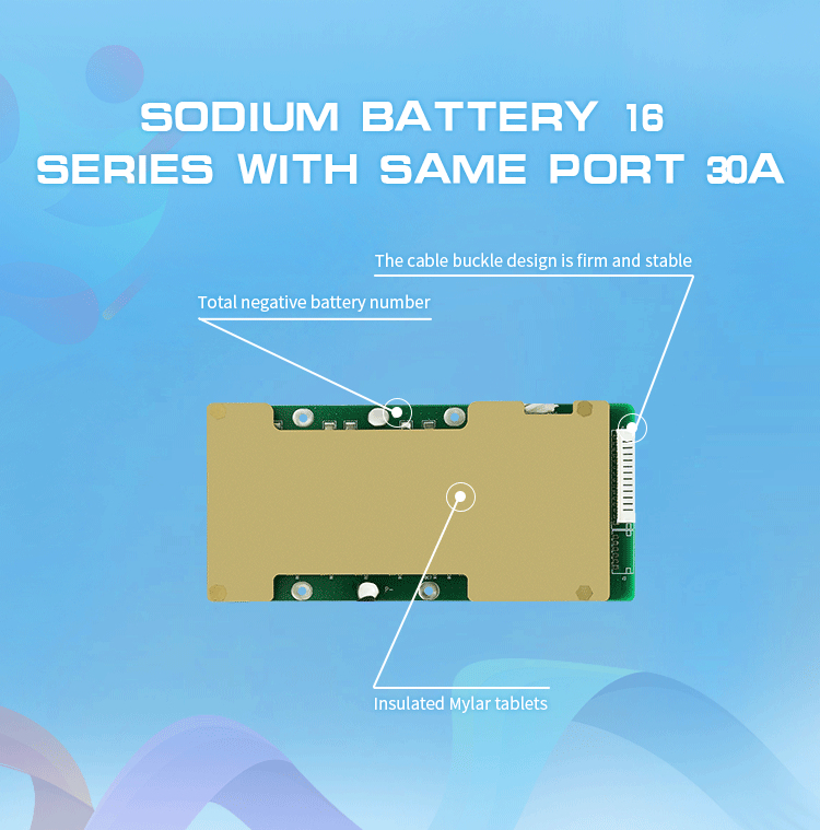 Microelectronics Start Up Power BMS Lithium Ion Battery Pack BMS For E Bike