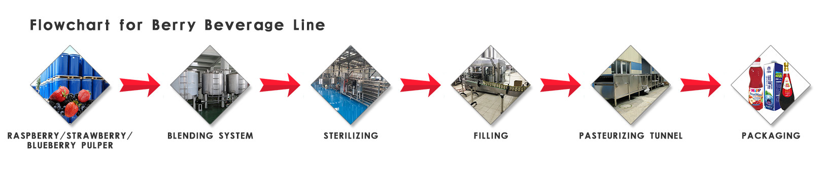 High Juice Yield Berry Processing Equipment 5 T / Hour Food Standard Stainless Steel Material