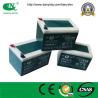 Buy cheap 48V65ah Maintenance Free Deep Cycle Power Battery Pack for Rickshaw from wholesalers