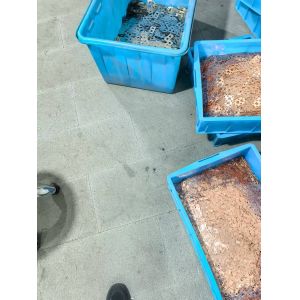 GOST МНЖМц30-1-1 CuNi Busbar Corrosion Resistant Copper-Nickel Alloy For