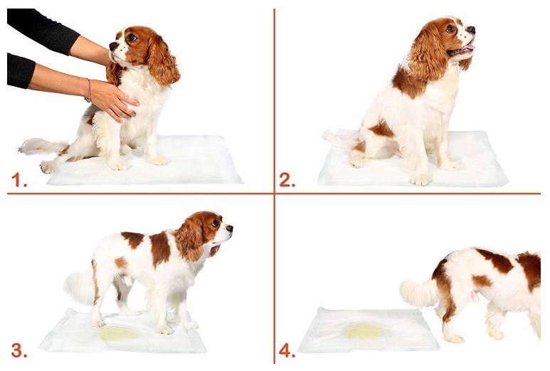Water Proof PE Film Urine Absorbent Puppy Training Pads