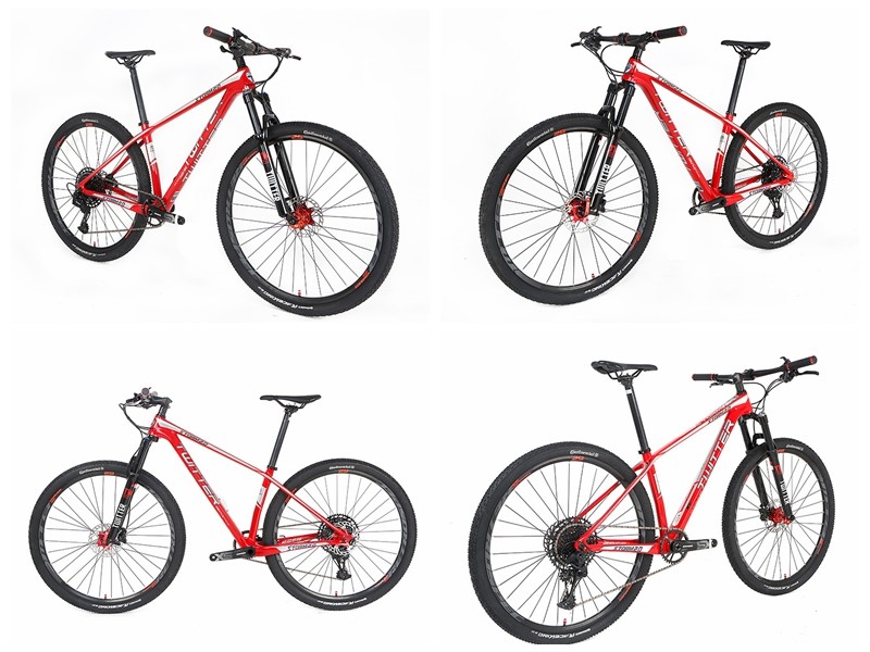 29er Carbon Fiber Trail Bike RAM SX EAGLE 12 Speed Groupset XC