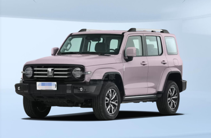 Tank 300 2022 2,0T Border Limited Version Compact SUV Automatic Manual Gearbox