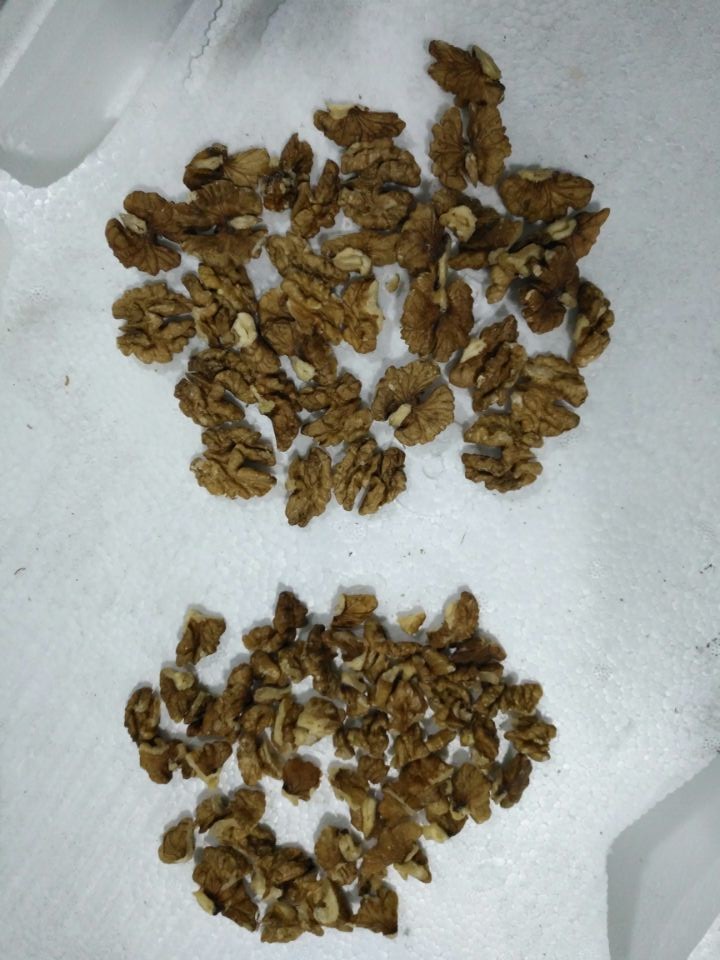 Automatic Walnut Cashew Sorting Machine Processing Machine RGB Color Sorter