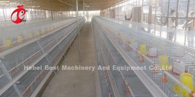 Rearing Cage Poultry Farm Brooder Breeding Equipment Sandy