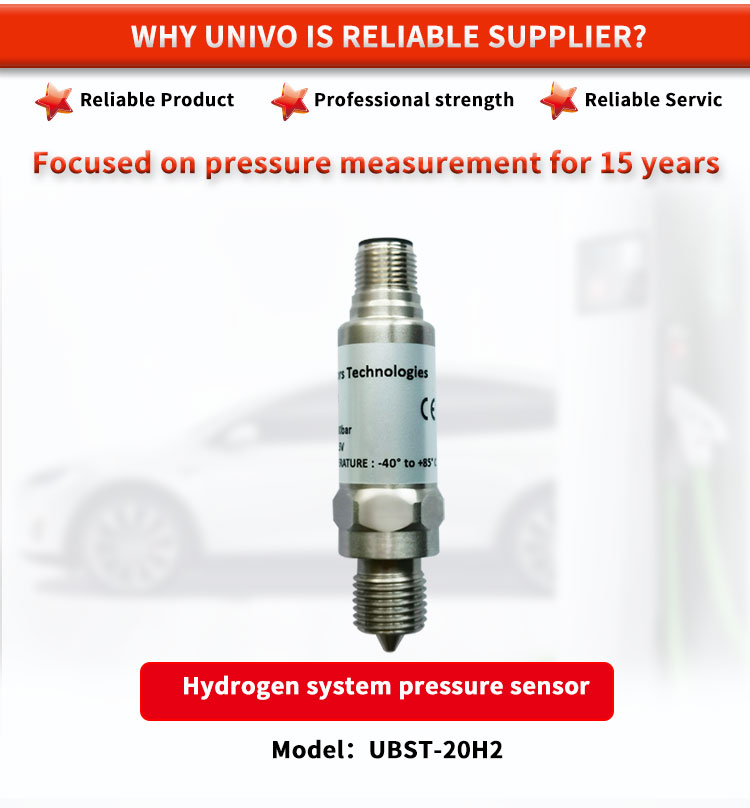 Compact UBST-20H2Y Hydrogen Pressure Transmitters For Safe And Hydrogen Storage