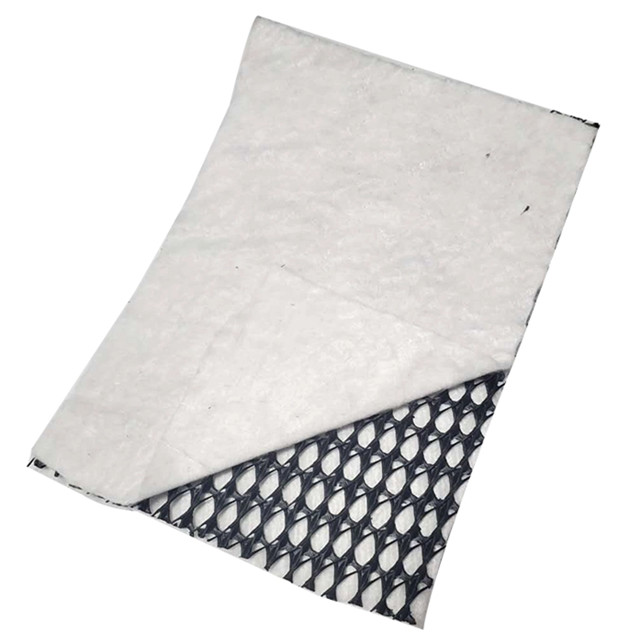 6m Width Black and White Geonet Geotextile Composite Drainage Geonet at for Landfill
