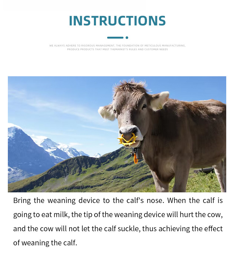 Adjustable Scalloped Comfortable Calf Weaner Easy For Wearing And Removal
