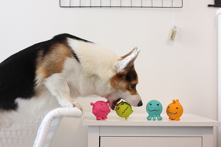 6cm Soft Latex Squeaky Dog Ball