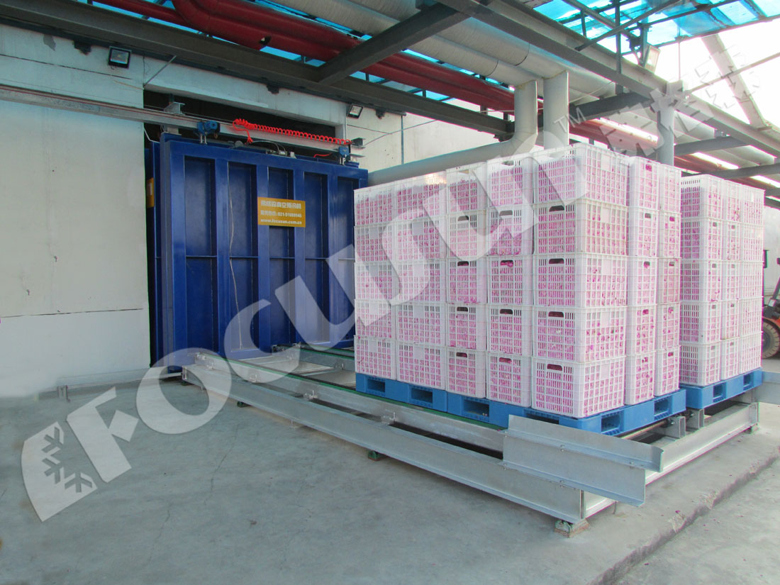 Bizter Emerson Compressor Vacuum Cooling Equipment for Lettuce Precooling in Industry