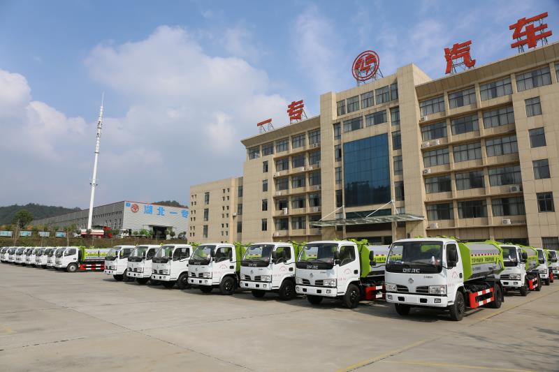 Dongfeng 2T 3T 4x2 Pickup Cargo Truck with 70cc Fuel Tank and Normal Driver's Seat