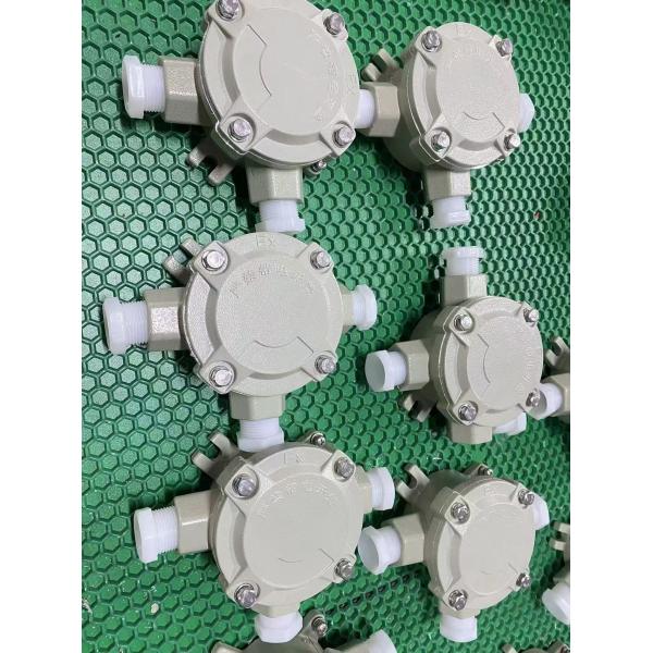 Wall Installation Explosion Proof Junction Box with Customer Settings Overall