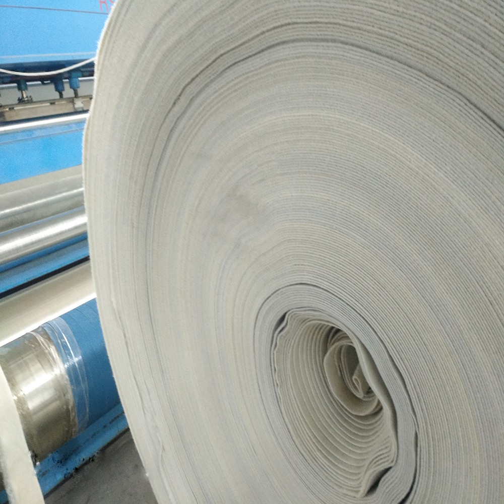300g 400g Non Woven Geotextile For Road Landfill Needle Punched for Landfill Projects