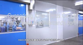 Guangdong Xinle Foods Co.,Ltd.