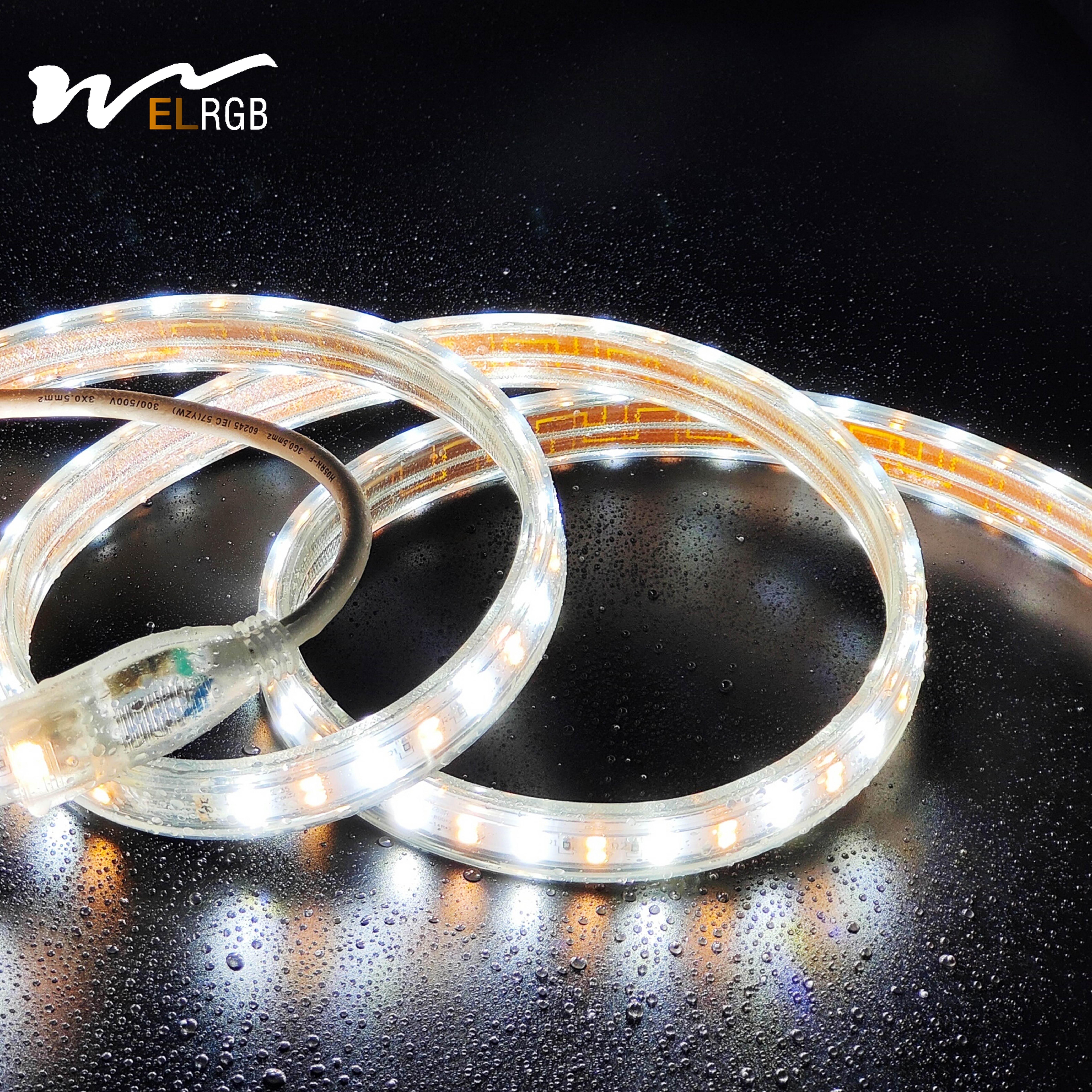 Outdoor LED Light Strip 110V 220V Double Rows White and Warm White Dual Color with Dimmer Support