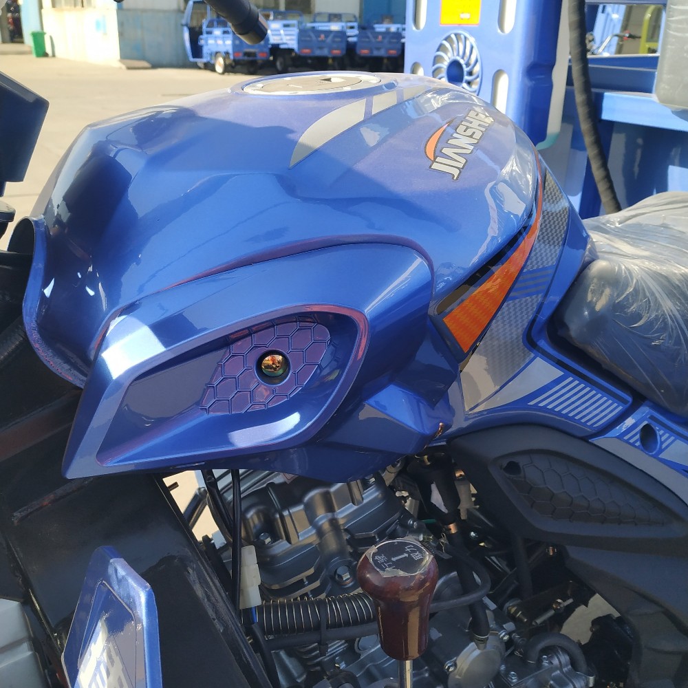China 300cc BestSale HeavyLoadingDeliveryCargoPetrolTypeThreeWheelMotorbikeBenzinTruckTrailersCargoTricycleMotorcycle