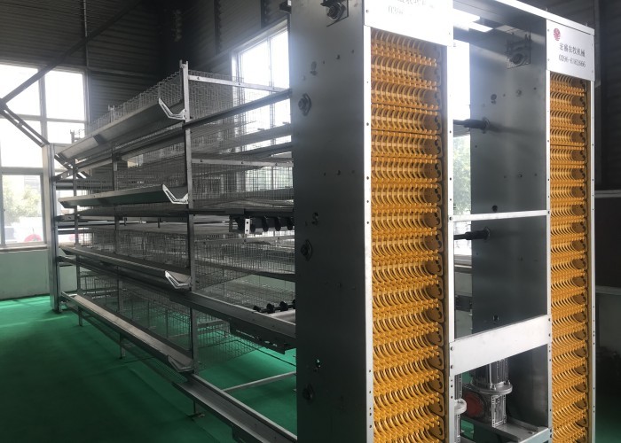 160 birds 6 Tiers Hot Dip Galvanizing H Type Poultry Cage
