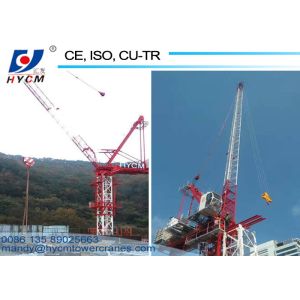QTD2520 High Efficiency Small Luffing Tower Crane with High Specifications for