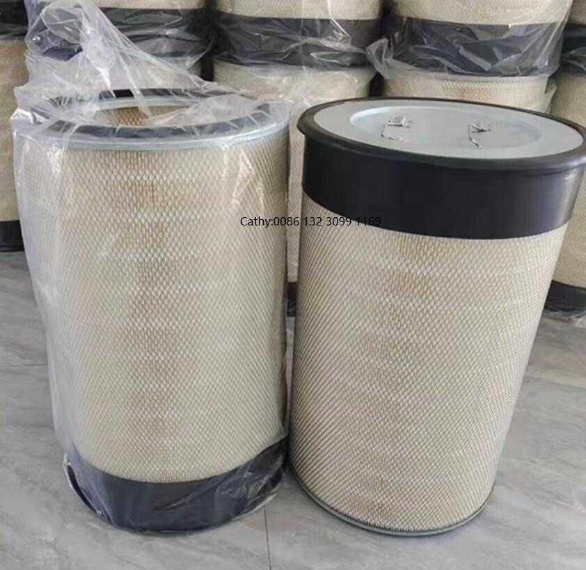 Filters air 220055064 P153551 engine air filter element