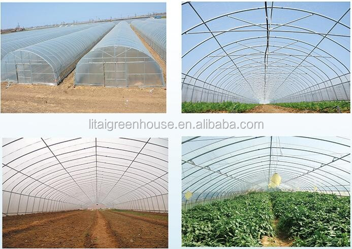 PE Double Film Tunnel Inflatable Greenhouse for All-Weather Protection